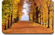 Avenue Resource, providing resources to churches in healing sexual sin